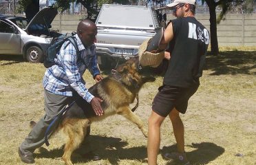 BLUELINE-KENNELS