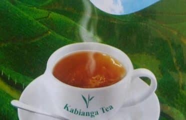Kabianga Tea Farm