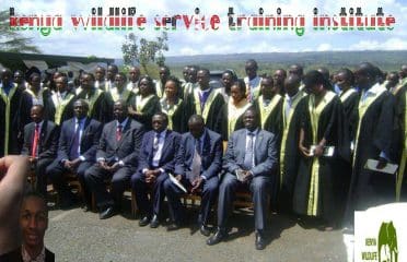 Kenya Wildlife Service Training Institute