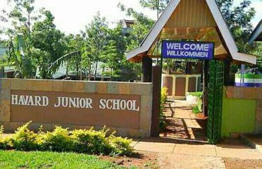 HAVARD JUNIOR PRIMARY SCHOOL