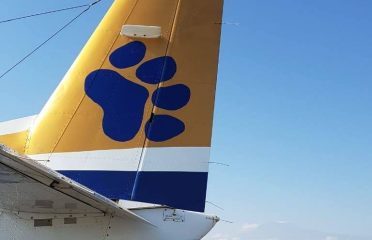 Mombasa Air Safaris