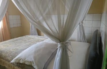 Dreamland Hotel