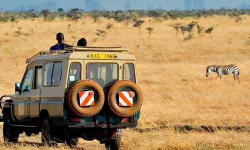 Kenya ideal safaris