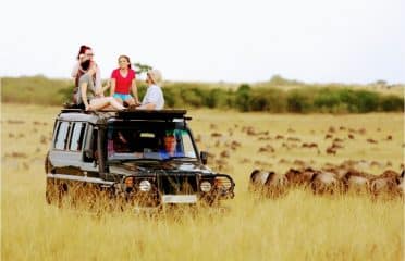 Luck Cabs Tours