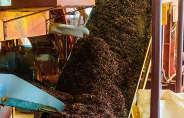 KEBIRIGO TEA FACTORY