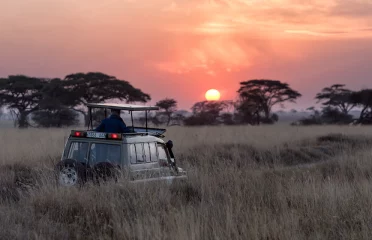 Chance Tours & Safaris