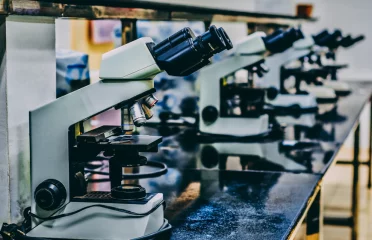 MASENO REGIONAL RESEARCH CENTRE