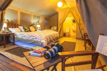 Wildbeest Eco Camp