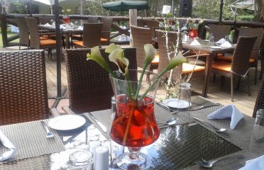 Tipuana Gardens and Restauarnt