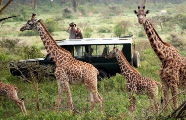 Talent Tours & Travel