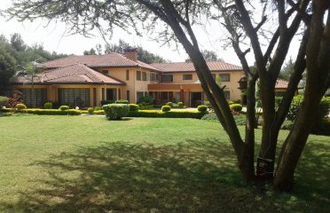 Karen Palace Inn