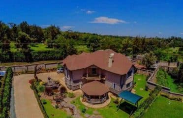 Eve Homes