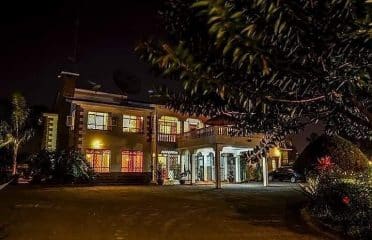 Bonsai Villa