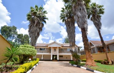 Camellia Guest House