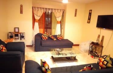 Exquisite Airport Apartment