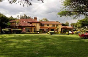 Palatial Gardens