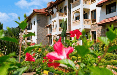 Oasis Luxury Apartments