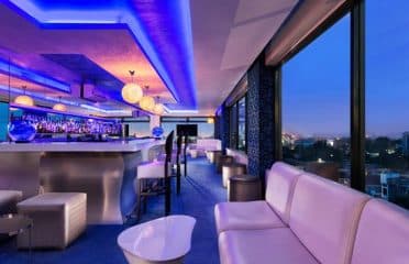 Level 8 Lounge and Bar