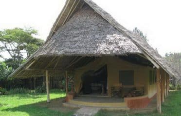 Flamingo Camp and Cottages Safaris