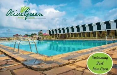 Olive Green Gardens