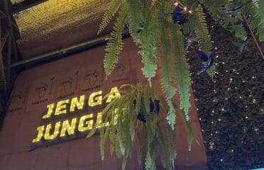 Jenga Jungle